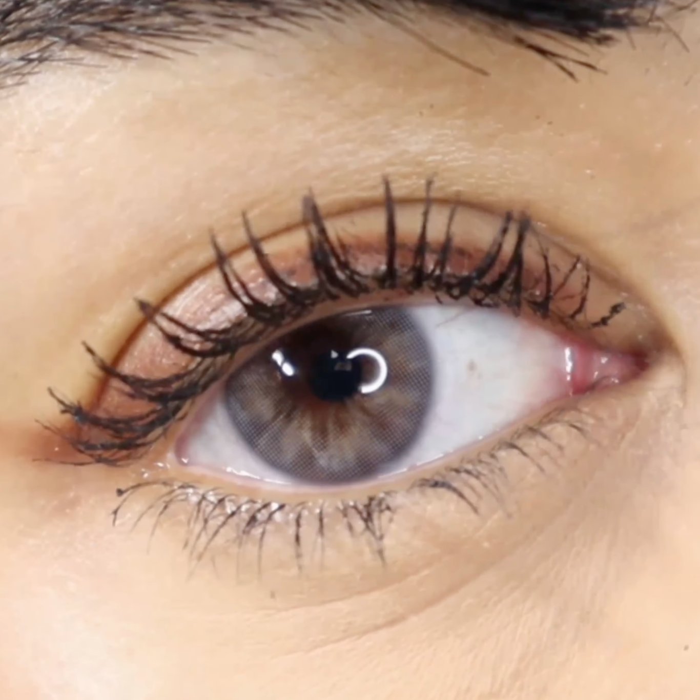 Asa Gray - JUST4KIRA thumbnail