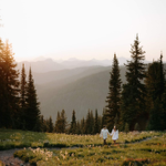 4 Ways to Elope on a Mountain Without Hiking thumbnail