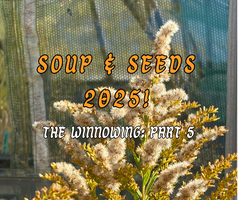 SOUP & SEEDS: The Winnwoing Part 5! thumbnail