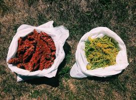 Flower Pounding and Natural Dyes with Megan Warren thumbnail