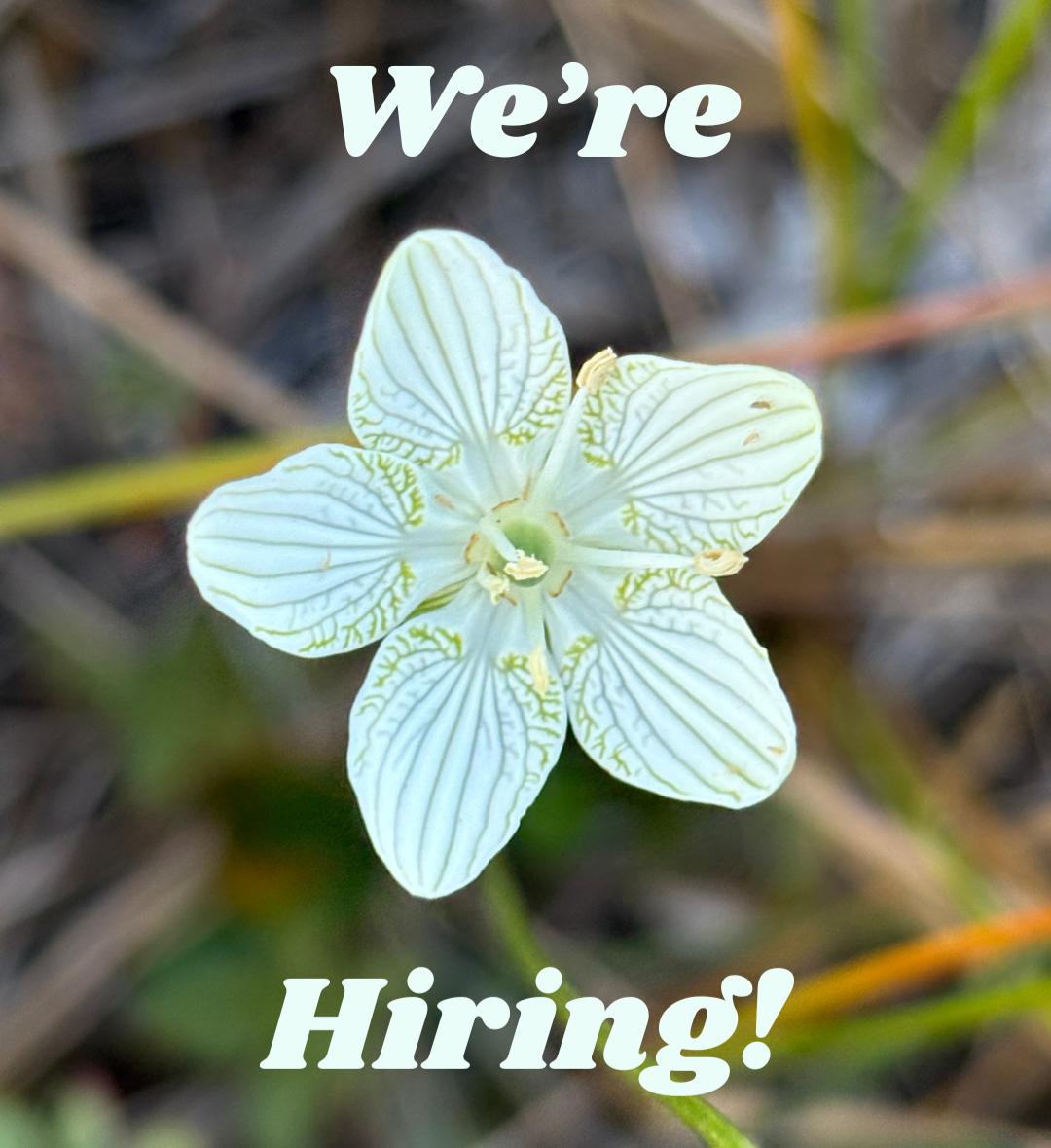 We're Hiring! Retail and Operations Specialist  thumbnail