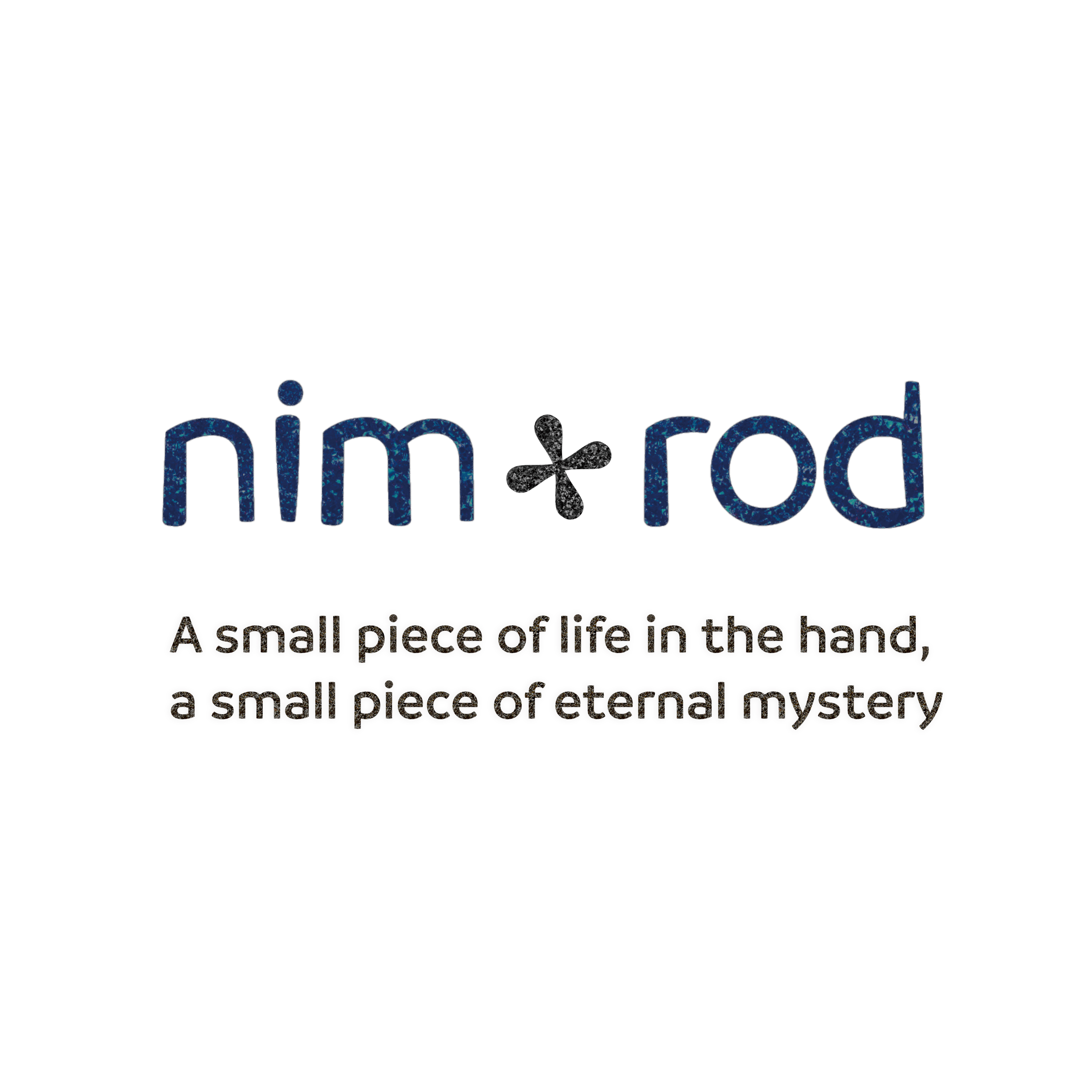 BioSite profile picture for @nimrod