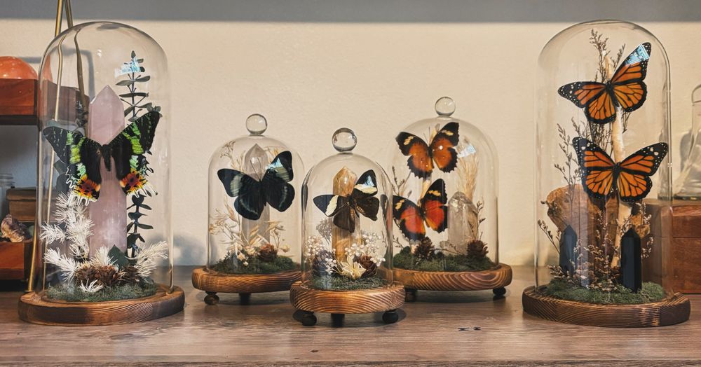 Dreamscapes - San Diego, CA thumbnail