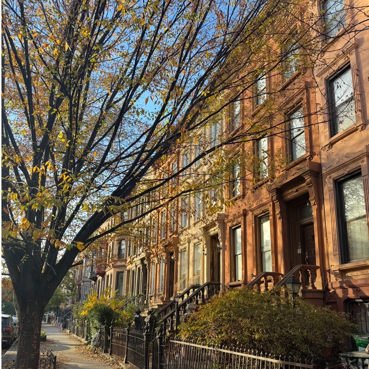 Macon Guesthouse thumbnail