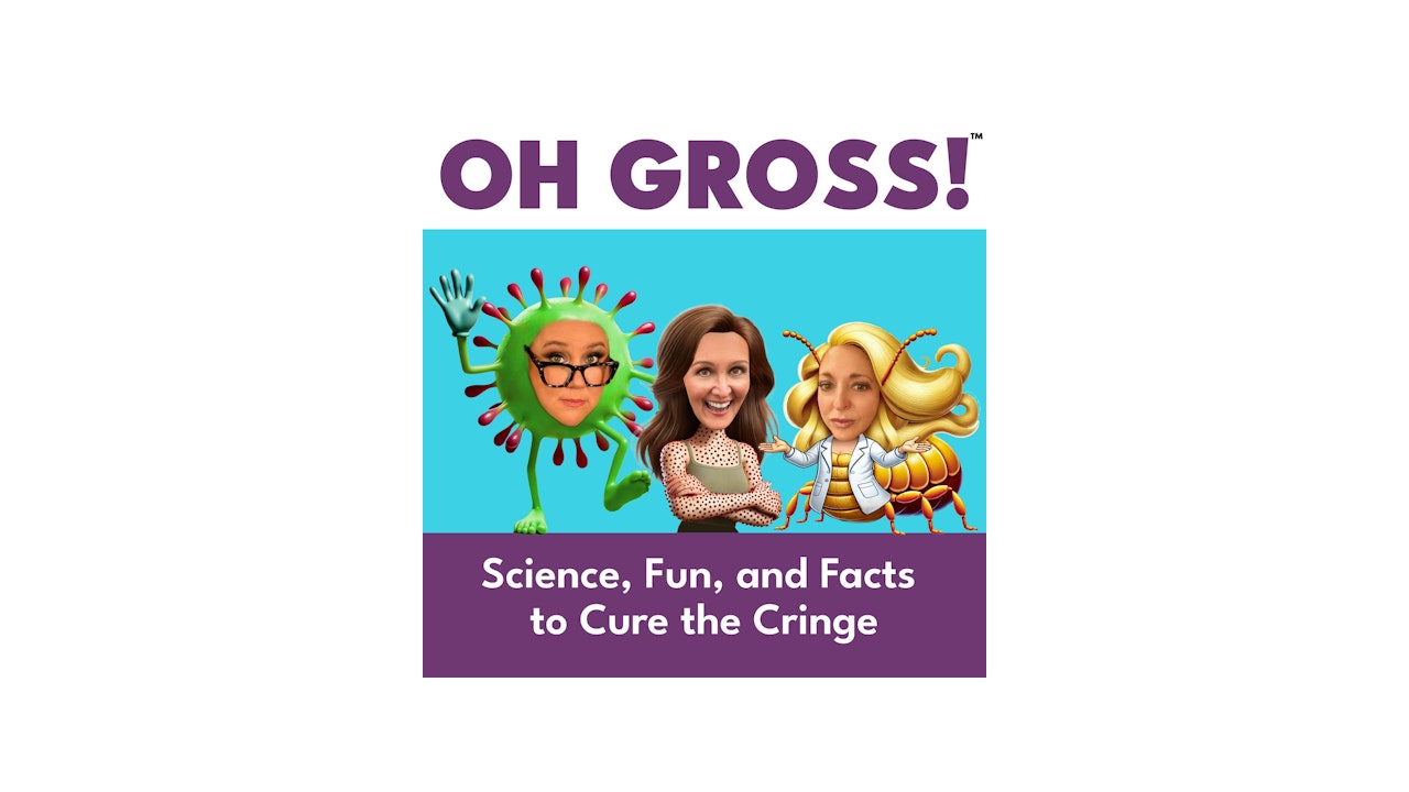 Camp: Contraband, Crying & a Questionable Splinter thumbnail