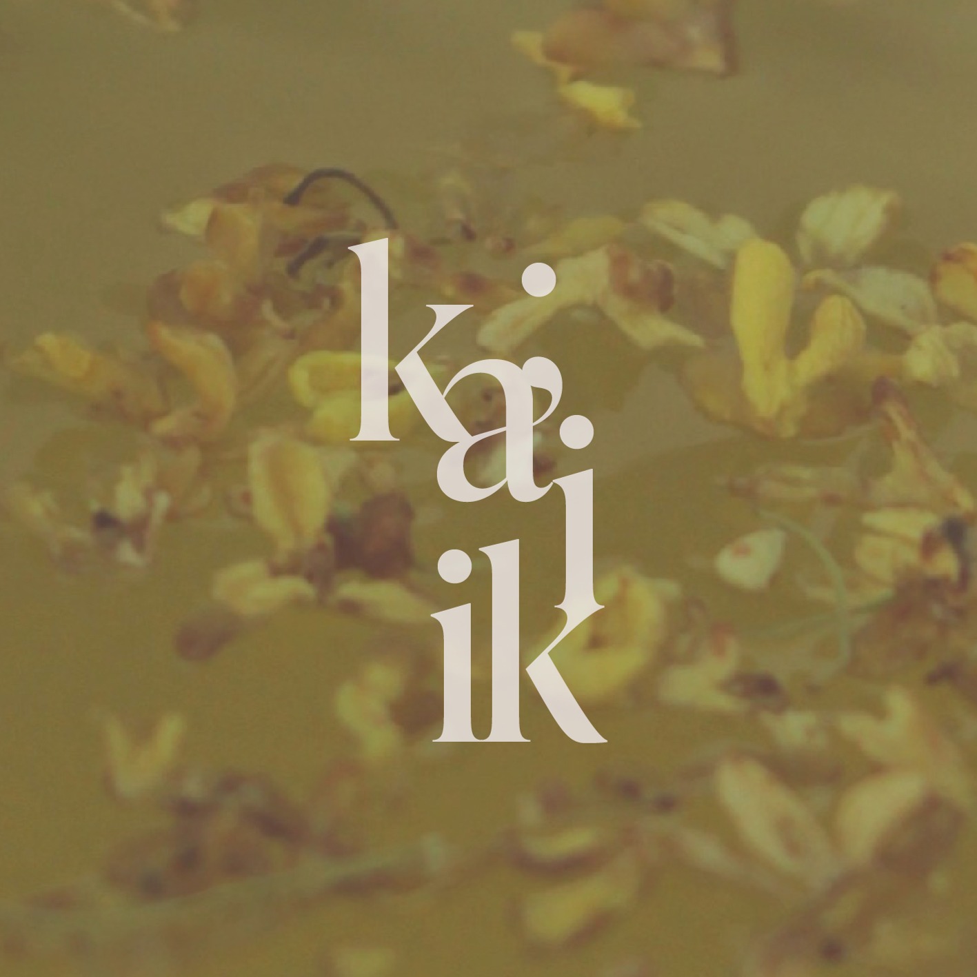 ka;iki thumbnail