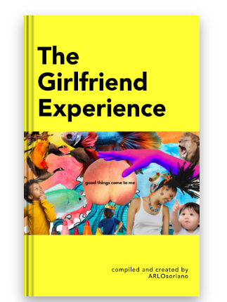Get The Girlfriend Experience Book thumbnail
