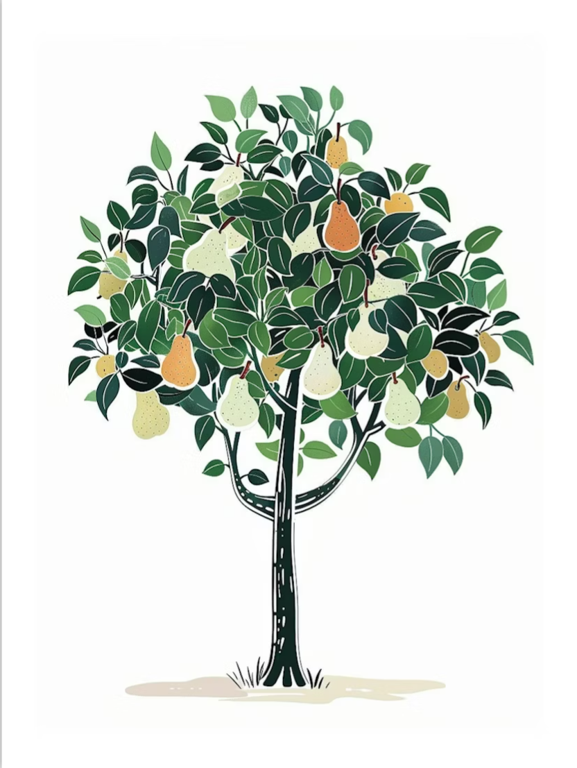 The Pear Tree, a short story in The Ilanot Review thumbnail