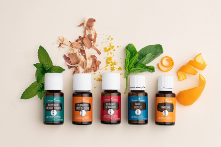 Shop essential oils thumbnail