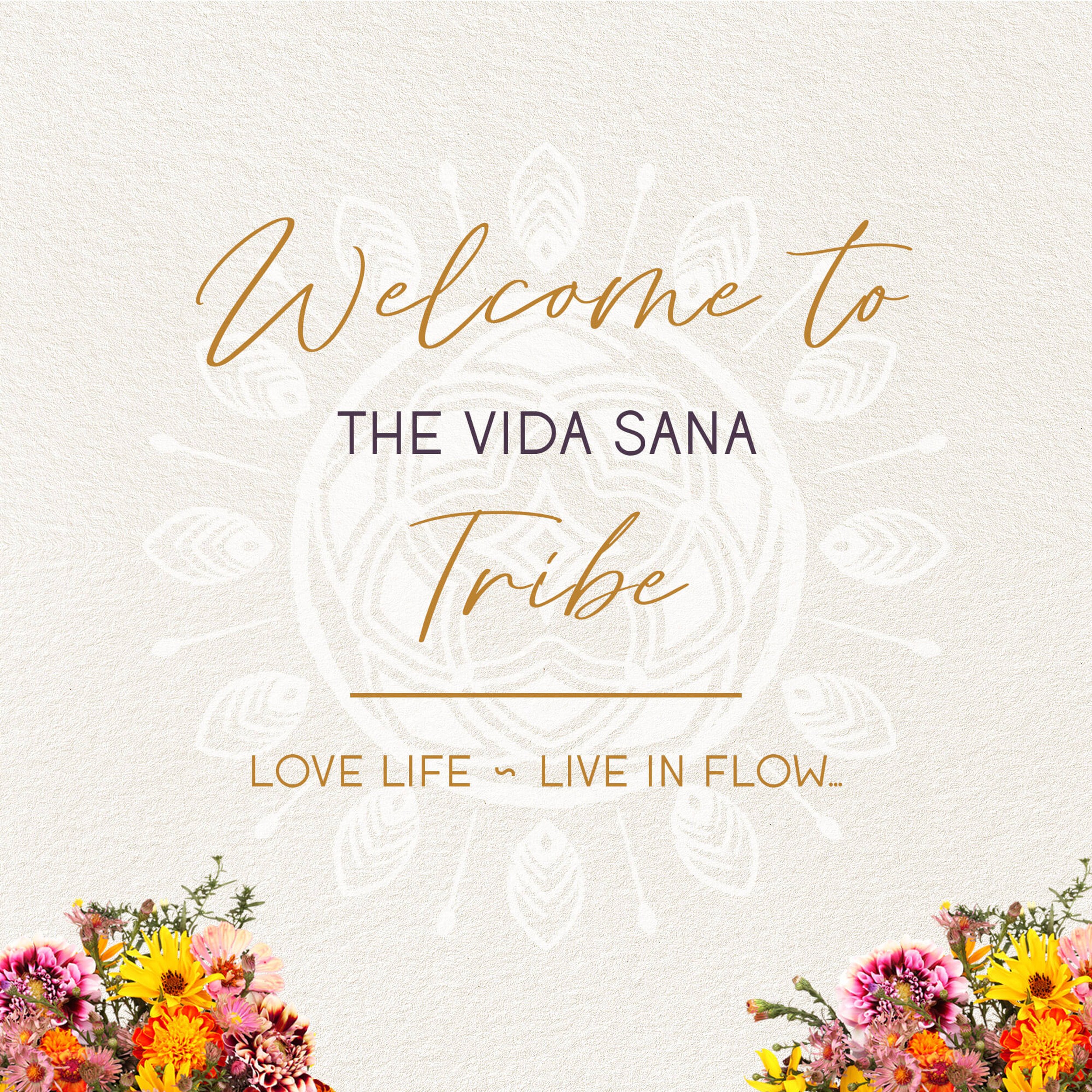 The Vida Sana | Get in Touch thumbnail