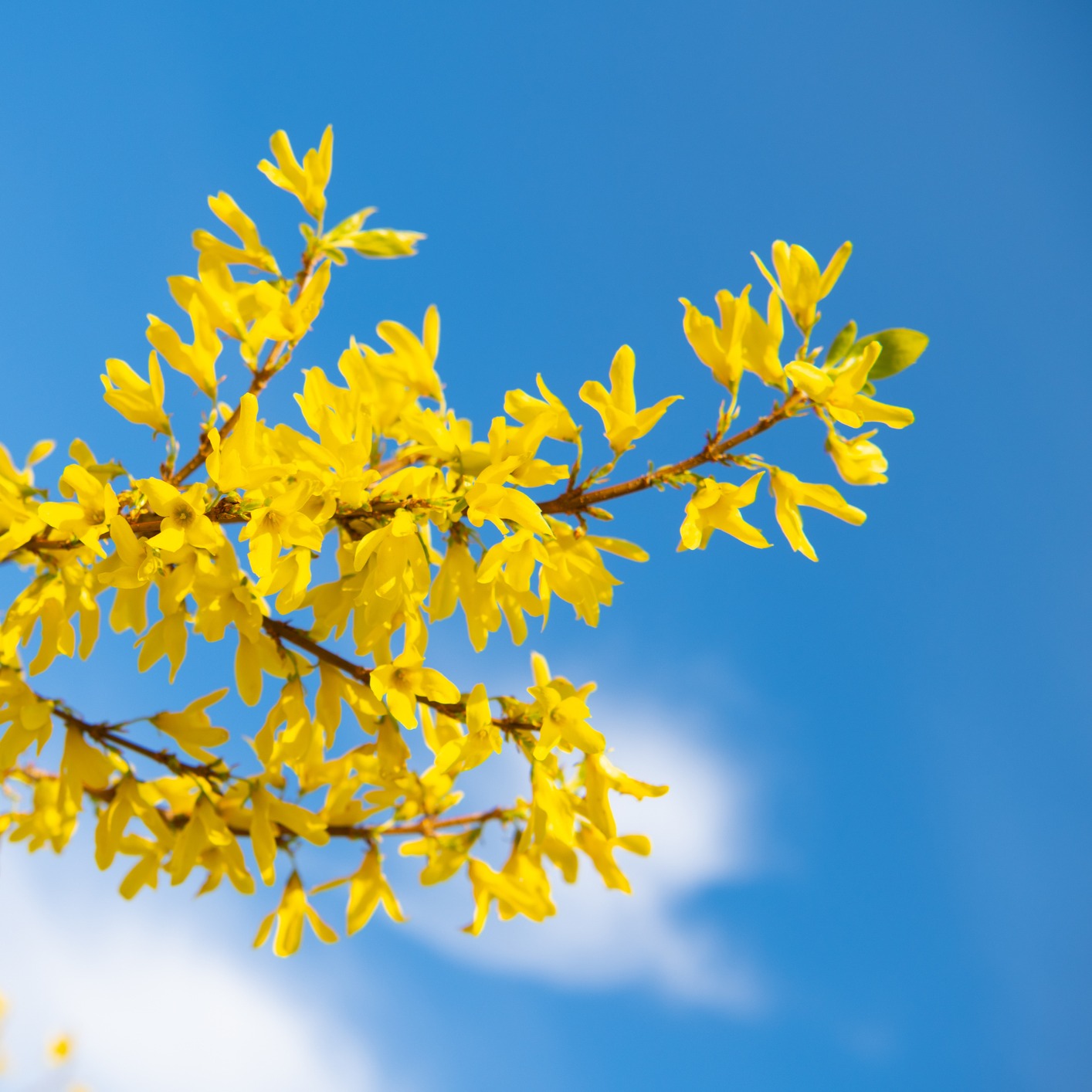 ENROLL | March 2026 Online Training thumbnail