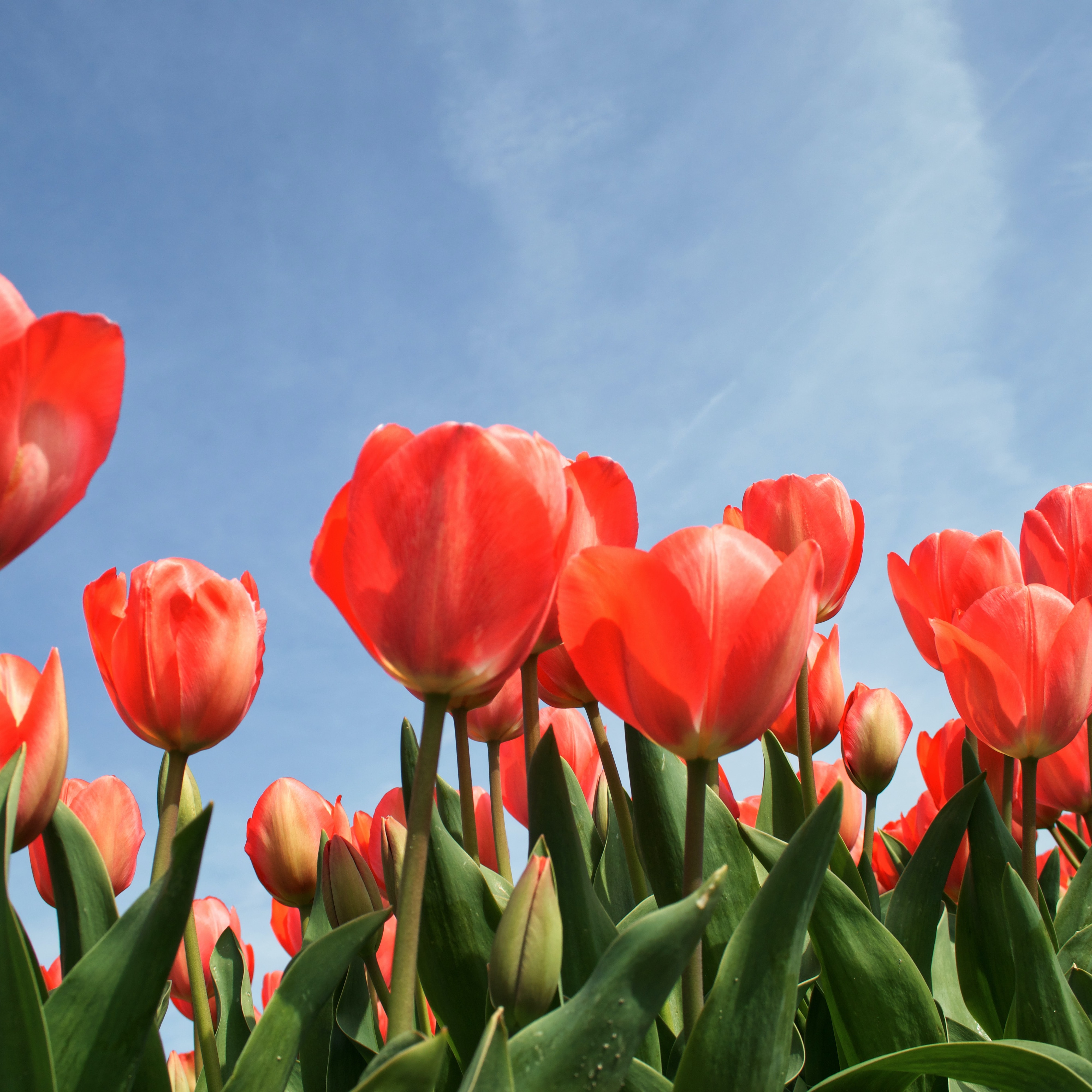 ENROLL | Brandywine Valley Training Retreat, Chadds Ford, PA | April 22-26, 2026 thumbnail