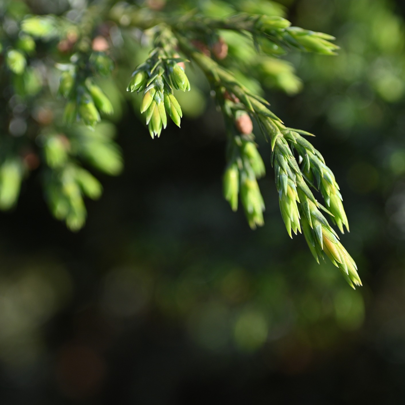 ENROLL | July 2026 Online Training  thumbnail