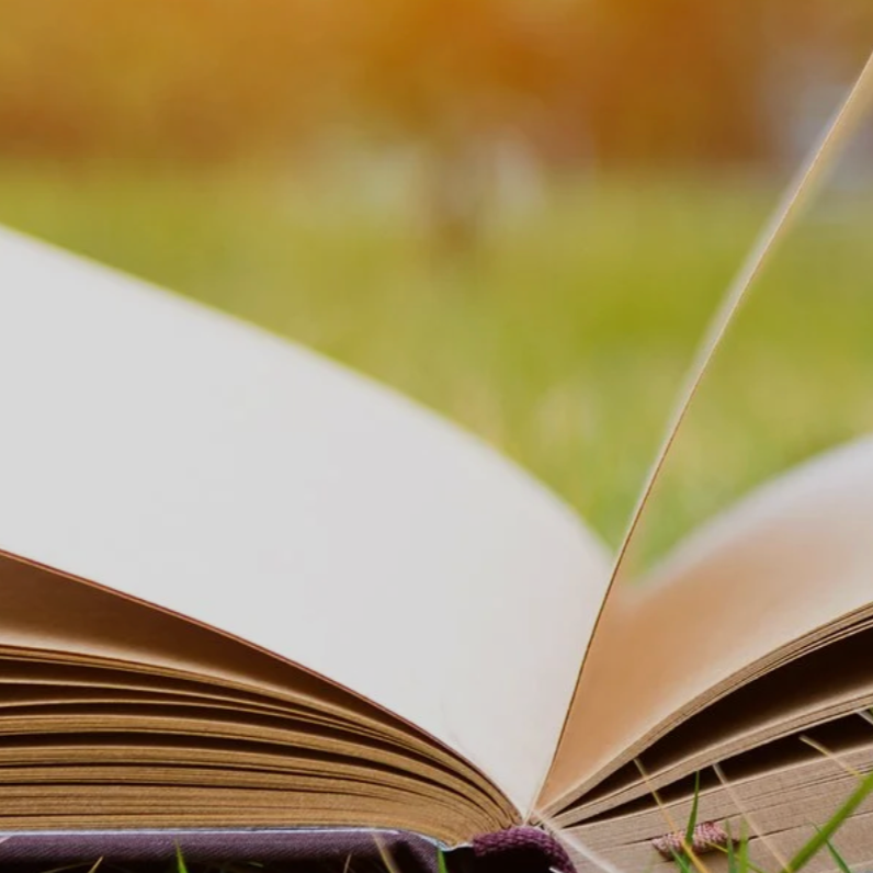 The Journal | Inspiration from our students. thumbnail