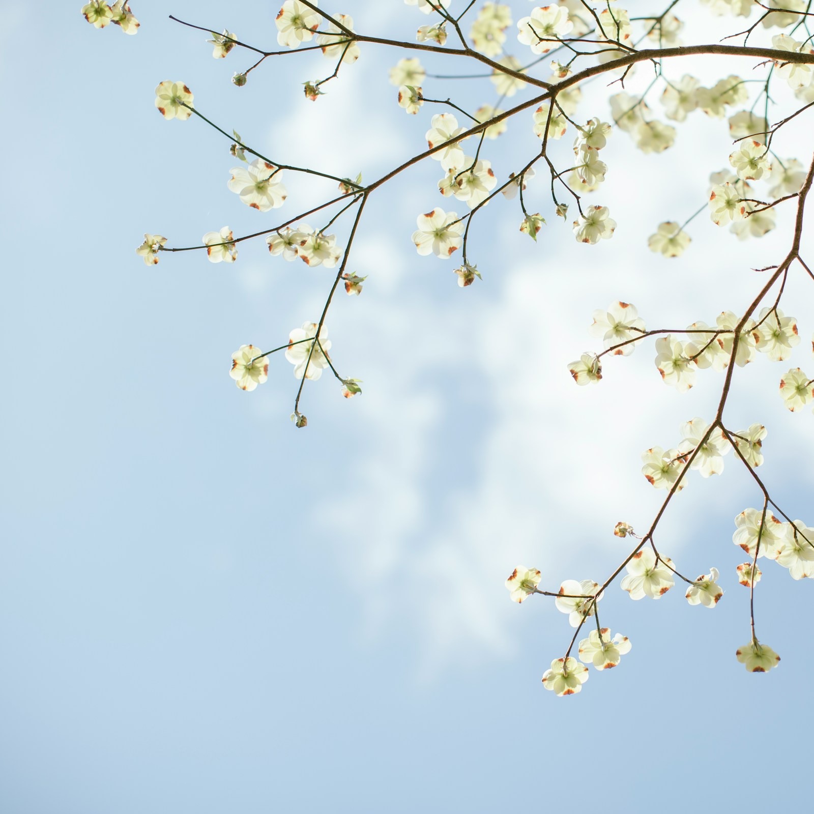 ENROLL | May 2026 Online Training  thumbnail