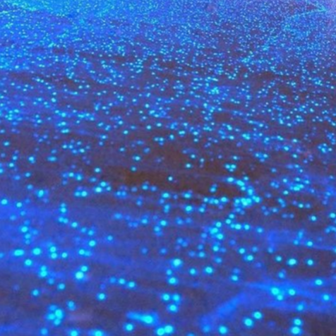 Bioluminiscense thumbnail