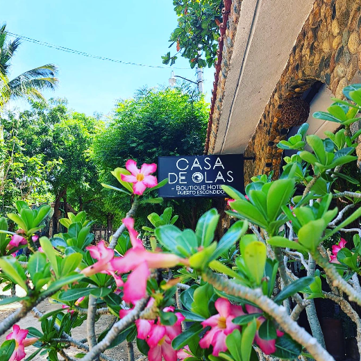 Casa de Olas thumbnail