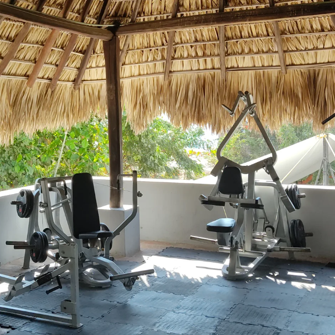 El Workout Gym thumbnail
