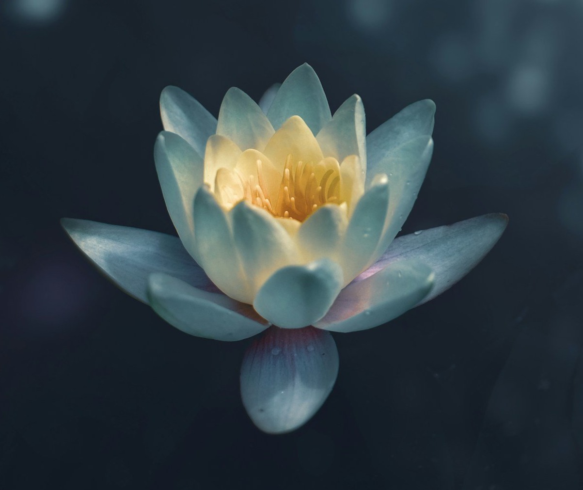 What we do thumbnail