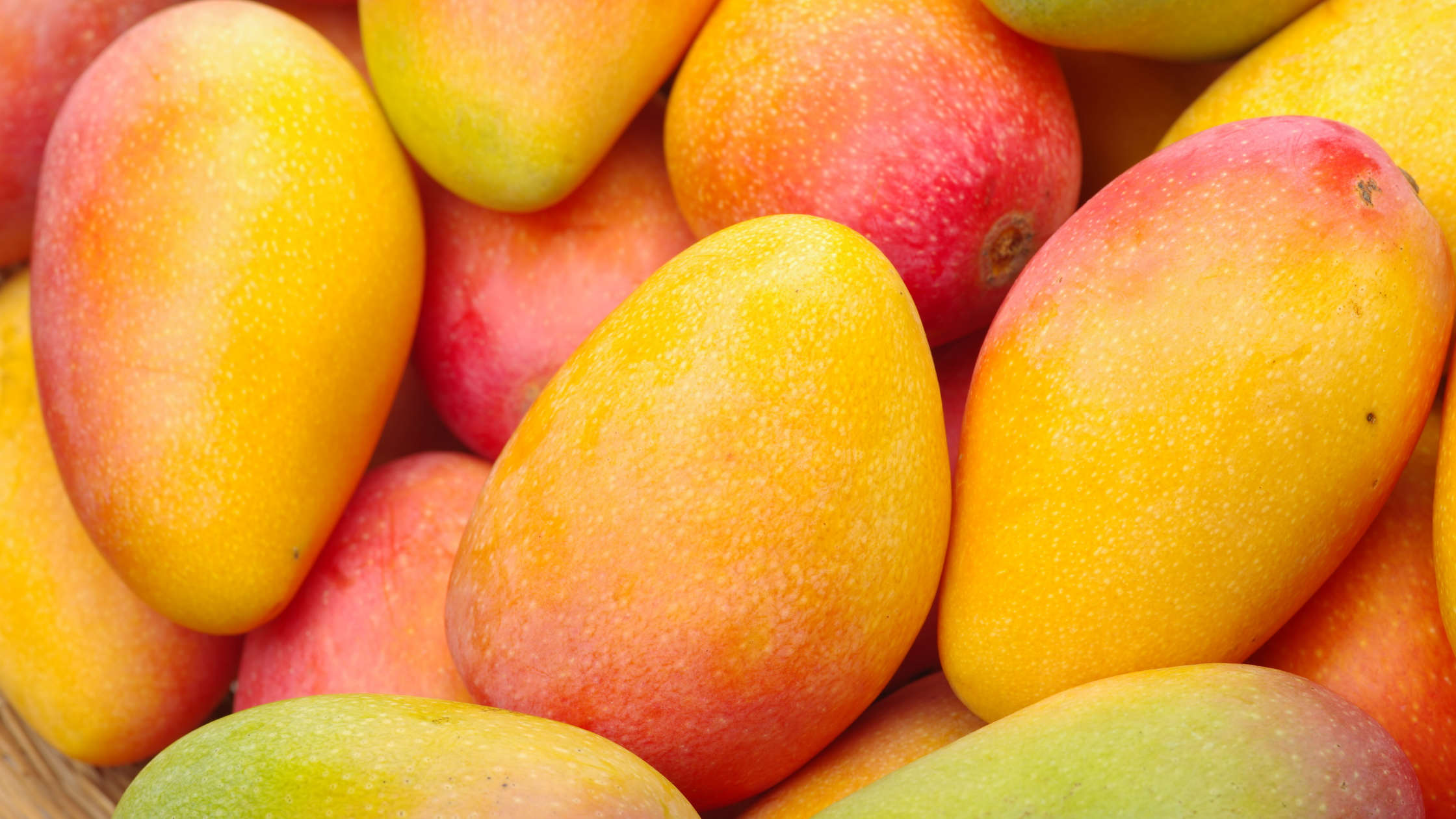 Consultation Naturopathie thumbnail