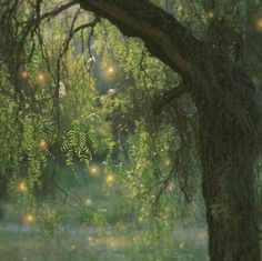 Schedule Your Appointment Here thumbnail