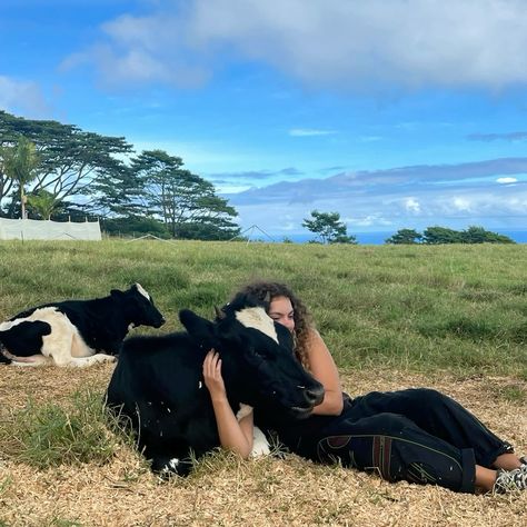 Book an Animal Healing thumbnail