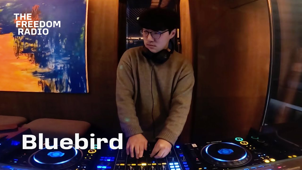 Bluebird 19th Edition thumbnail