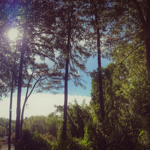 mastodon.art thumbnail