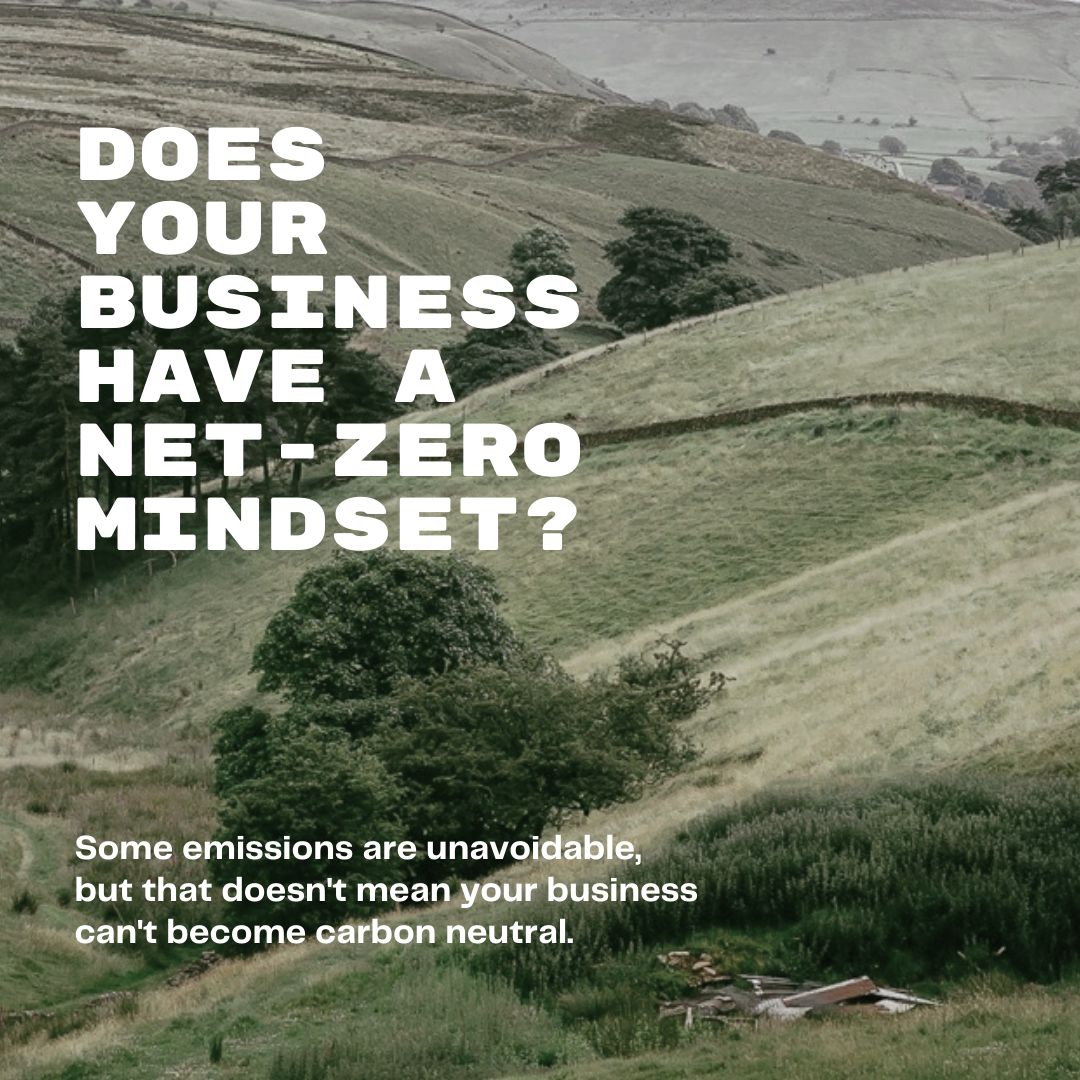 Interested in calculating your carbon footprint and working towards becoming a net-zero business?

Get in touch via the 