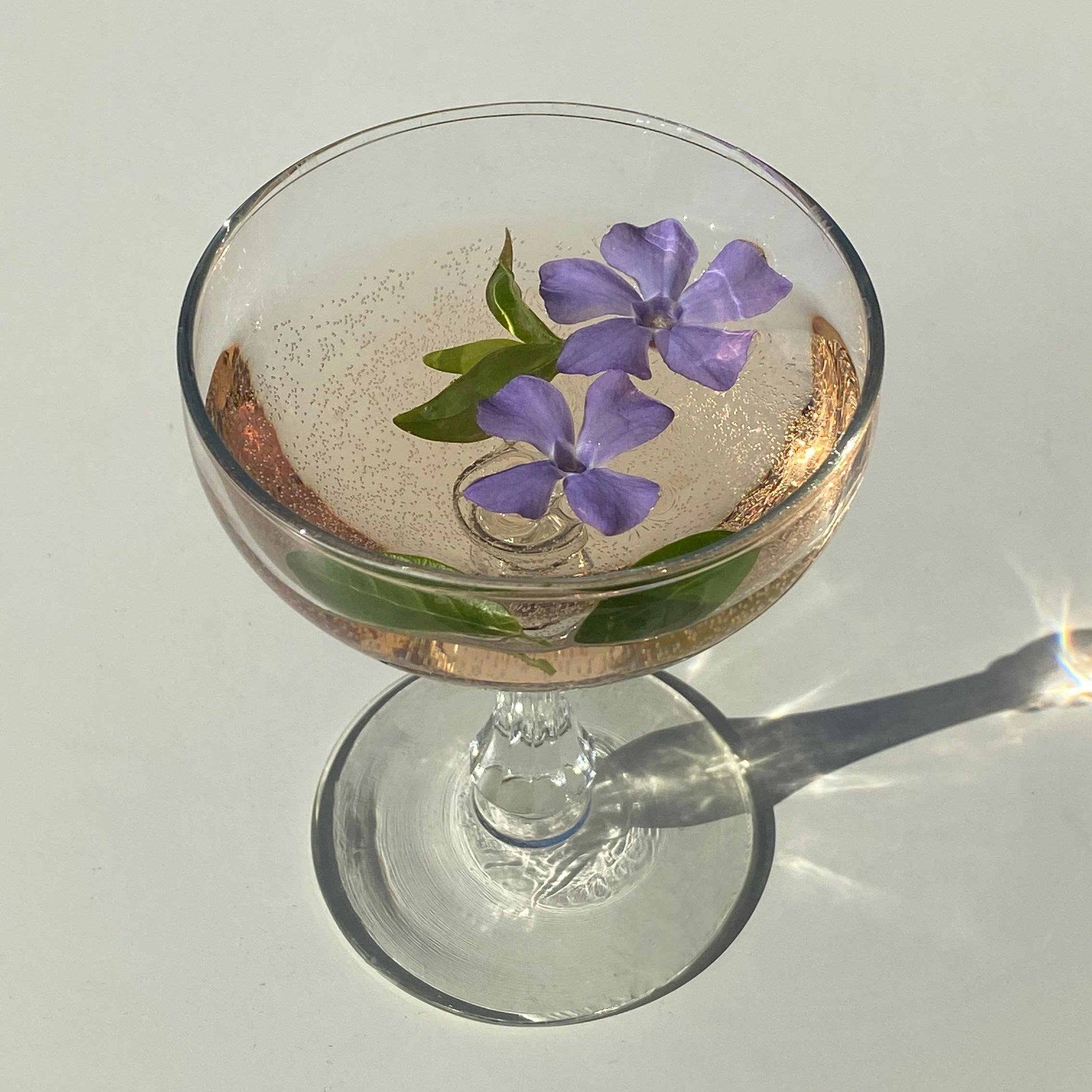 Website | Meet Me 🤍🌹🐝 thumbnail