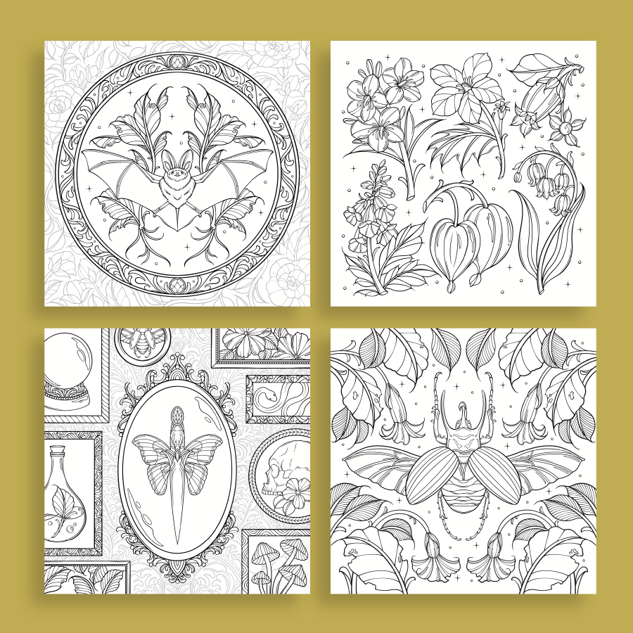 PRE-ORDER Dark Magic: A Gothic Fantasy Coloring Book thumbnail