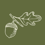 Social Media Marketing thumbnail