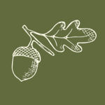 Website Design & Management thumbnail