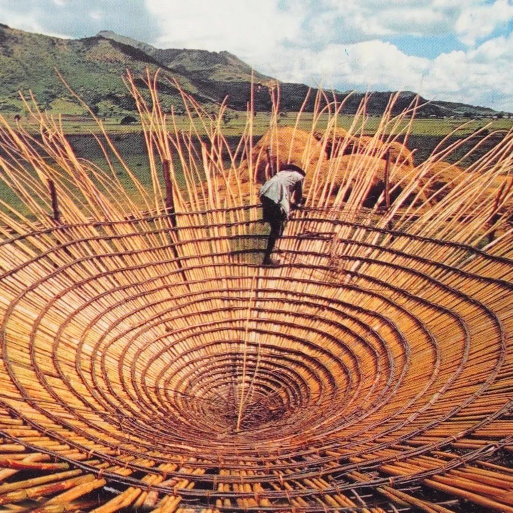 Replay: Embodied Vision Planning 2026 thumbnail