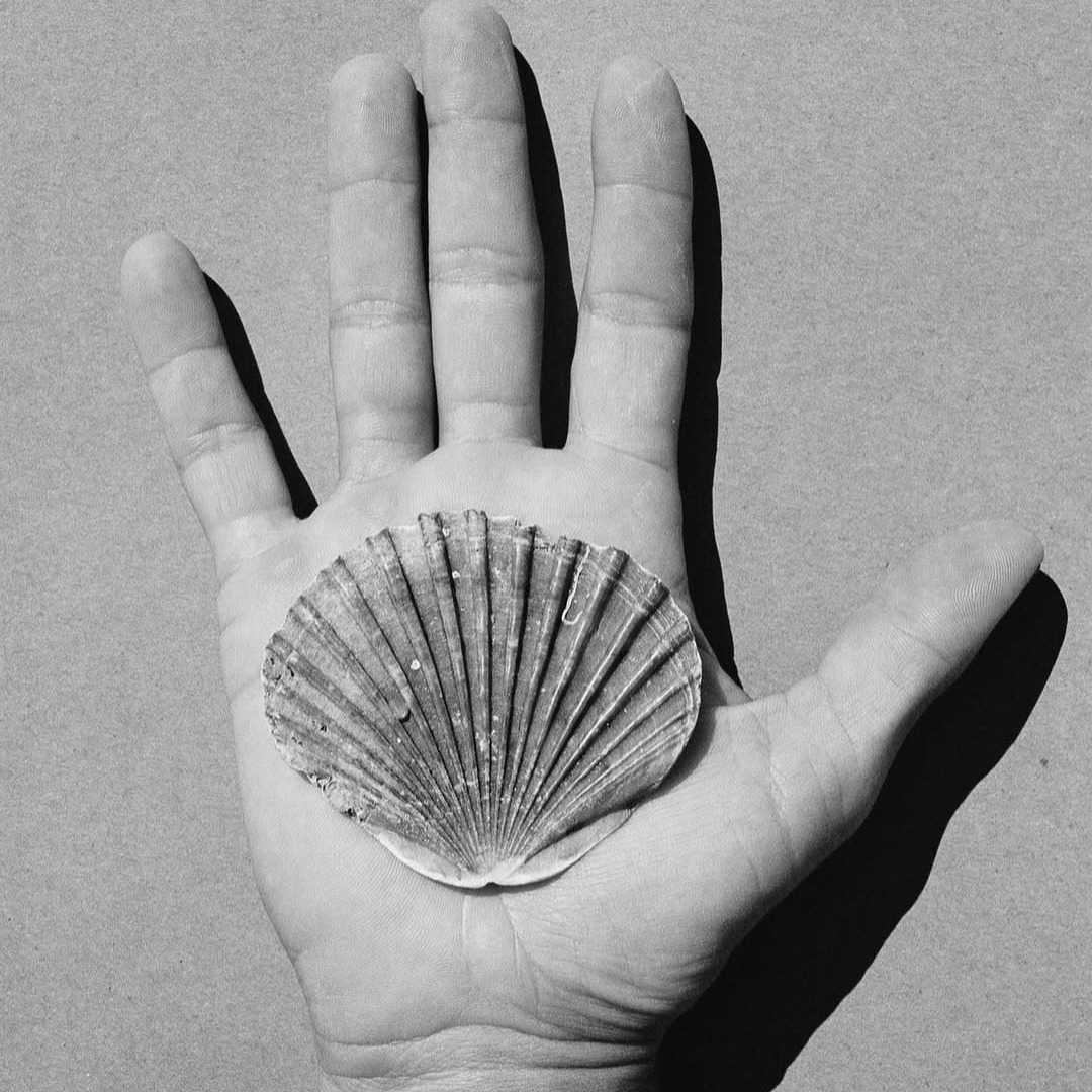 Rooted90 | 10-day Coaching thumbnail