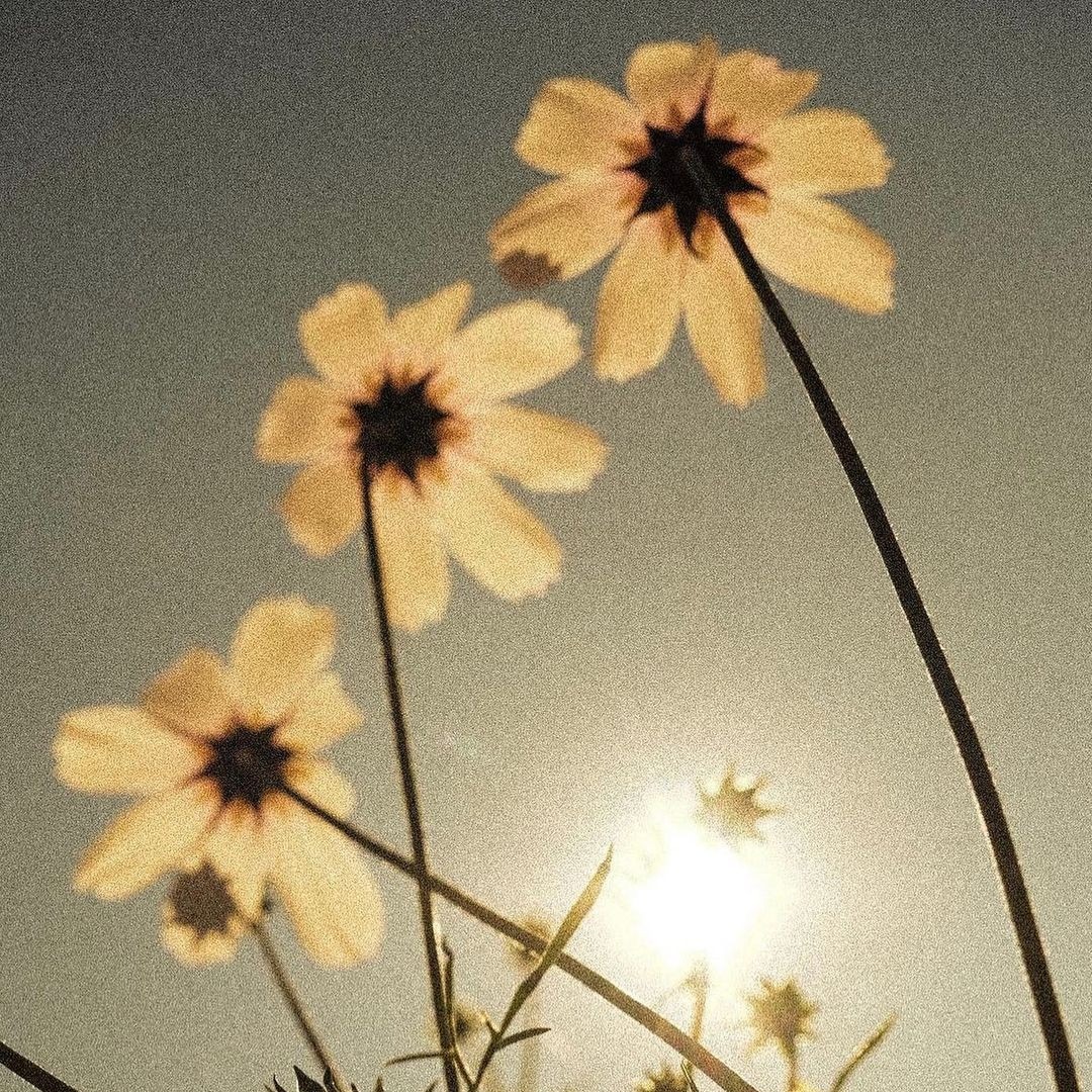 My website thumbnail