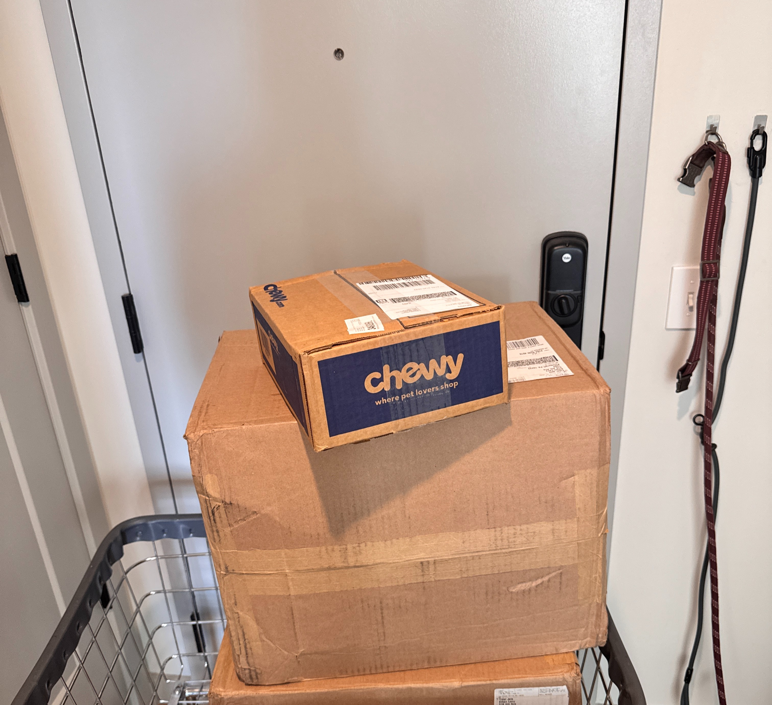 Must Haves (Amazon) 💅 thumbnail