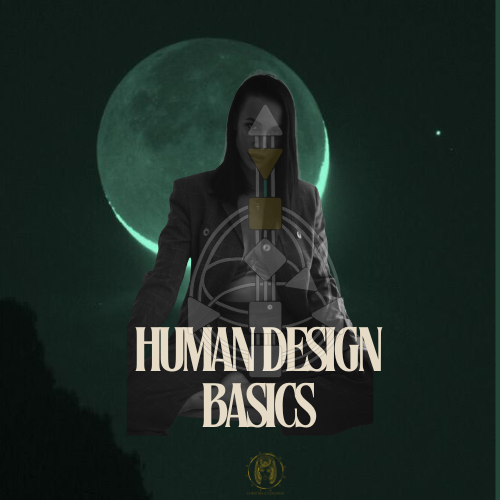 Human Design Basic Kurs für Einsteiger thumbnail