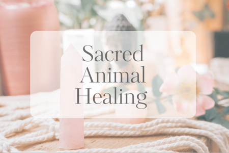 Sacred Animal Healing thumbnail