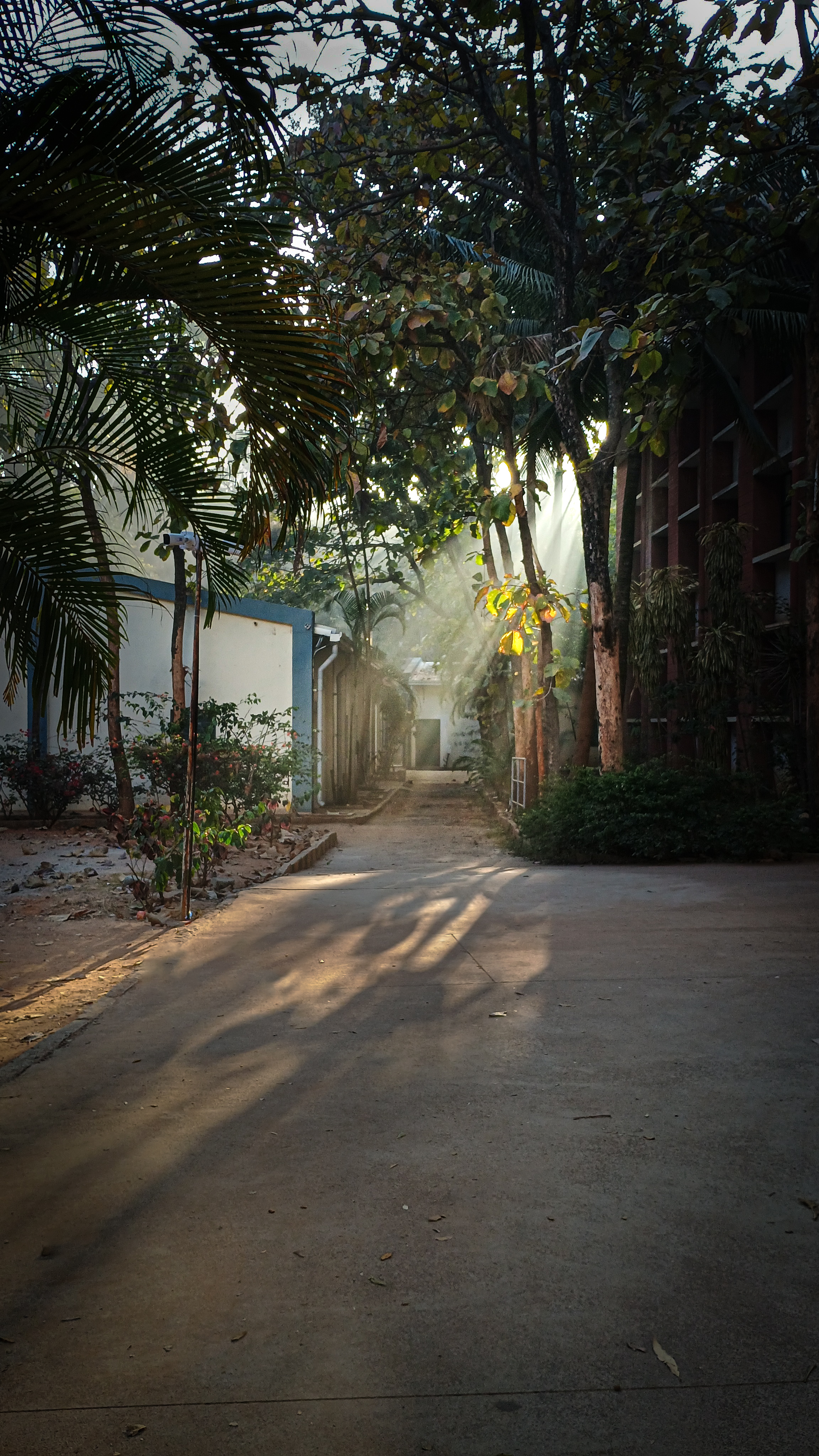 Morning Serenity thumbnail