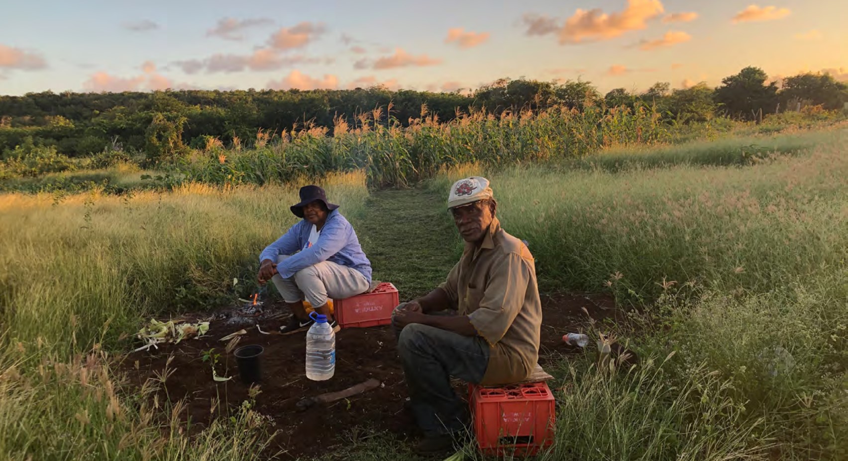 Protecting a communal legacy: A conversation with Barbuda Land Actors | Island City Lab thumbnail