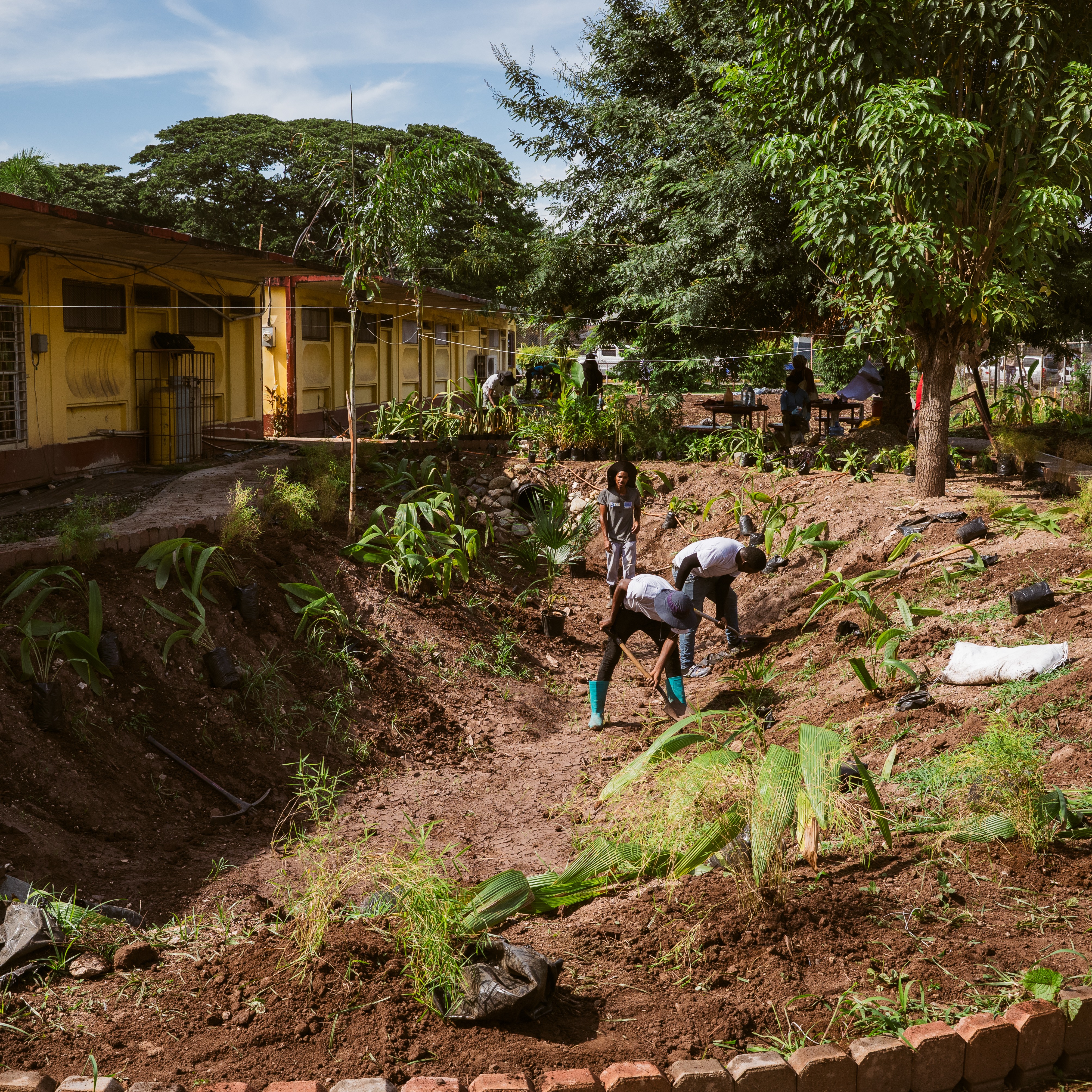 Rain Garden Volunteer Sign-Up thumbnail