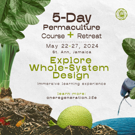 30% off 5-Day Permaculture Course + Retreat thumbnail