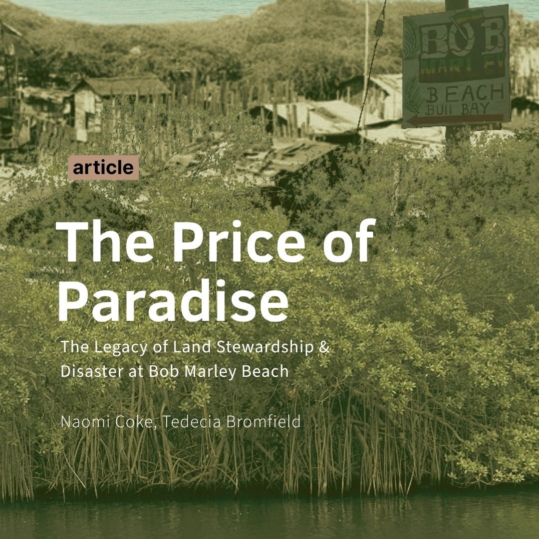 The Price of Paradise: The Legacy of Land Stewardship at Bob Marley Beach | C-TEK thumbnail