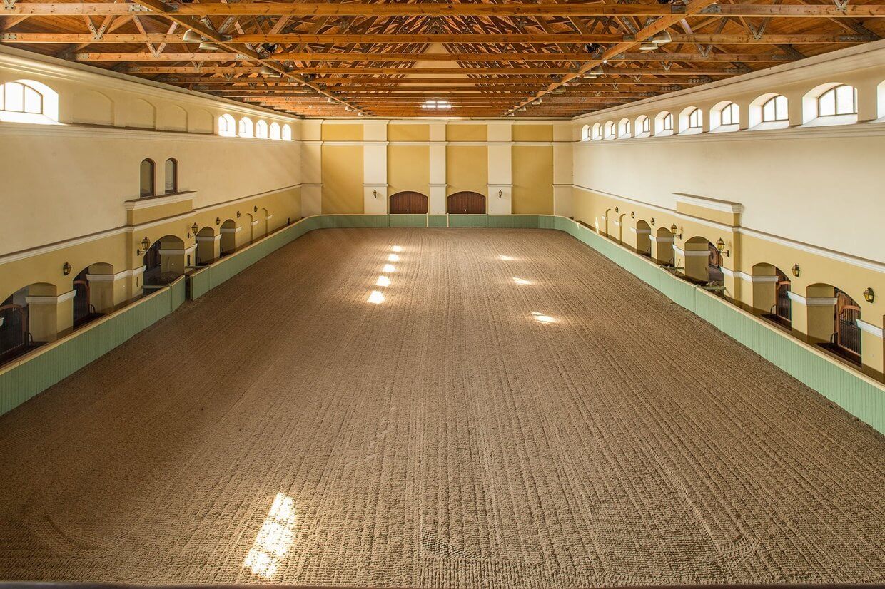 Polo Arena thumbnail