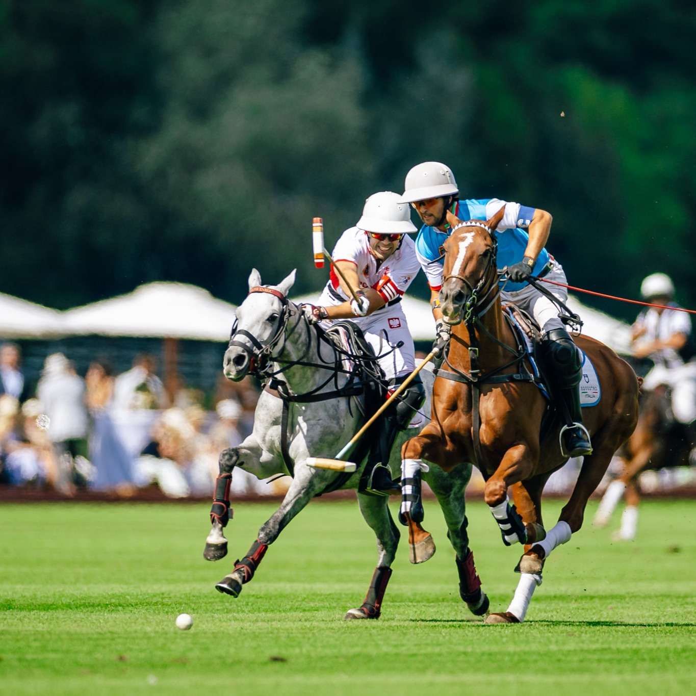 Sowiniec Polo Cup | 27–29 August 2026 | HCP 4–6 thumbnail