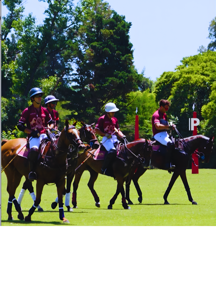 Los Machitos Copa Rus Seguros 2025, Argentina thumbnail