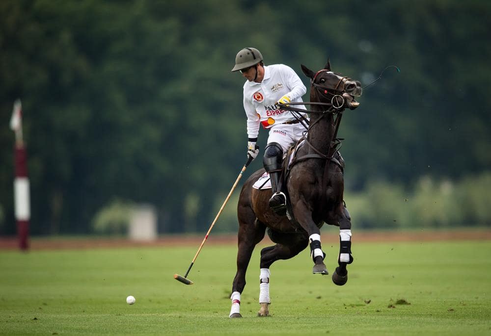 Sowiniec Polo Cup  | 3-5 July 2025 | HCP: 4-6 thumbnail