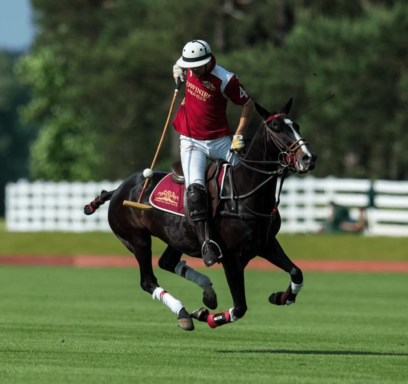 SOVO Polo Cup | 12–14 June 2026 | HCP 2–4 thumbnail