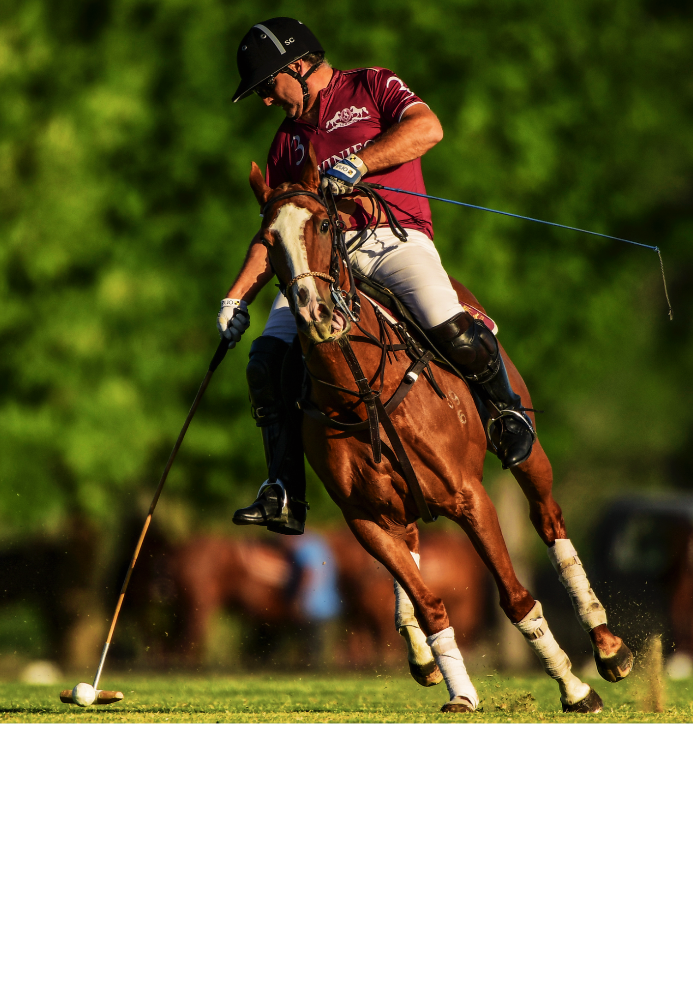 Pilara Gaston Goni Cup 2023,  Argentina thumbnail